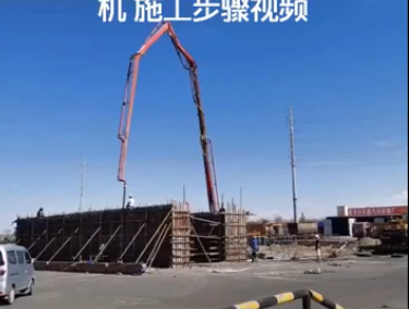 大型整車Ⅹ光掃描安檢機